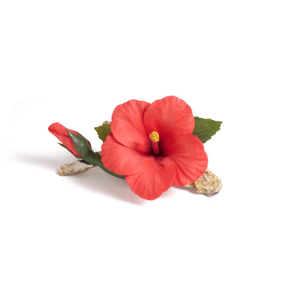 Hibiscus | Napoleon®